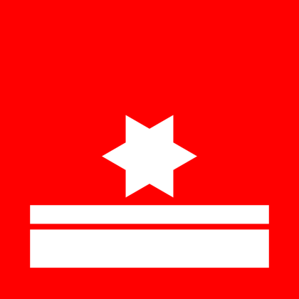 Abzeichen Brandmeister