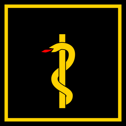 Abzeichen Feuerwehrarzt