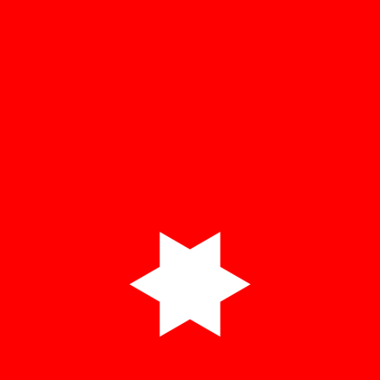 Abzeichen Feuerwehrmann