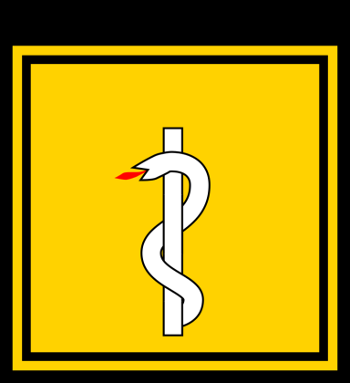 Abzeichen Landesfeuerwehrarzt